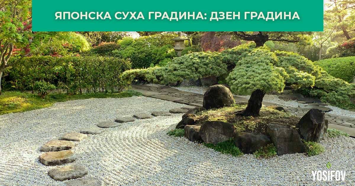 Дзен градина: Озелеяване