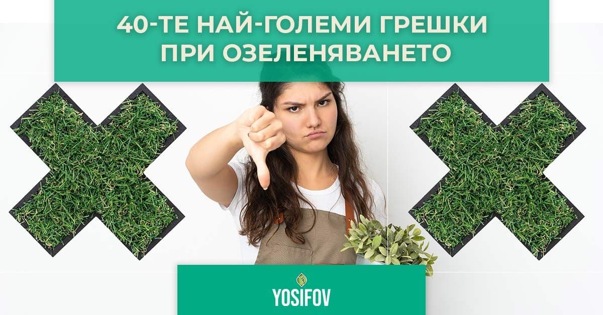 Грешки при озеленяване