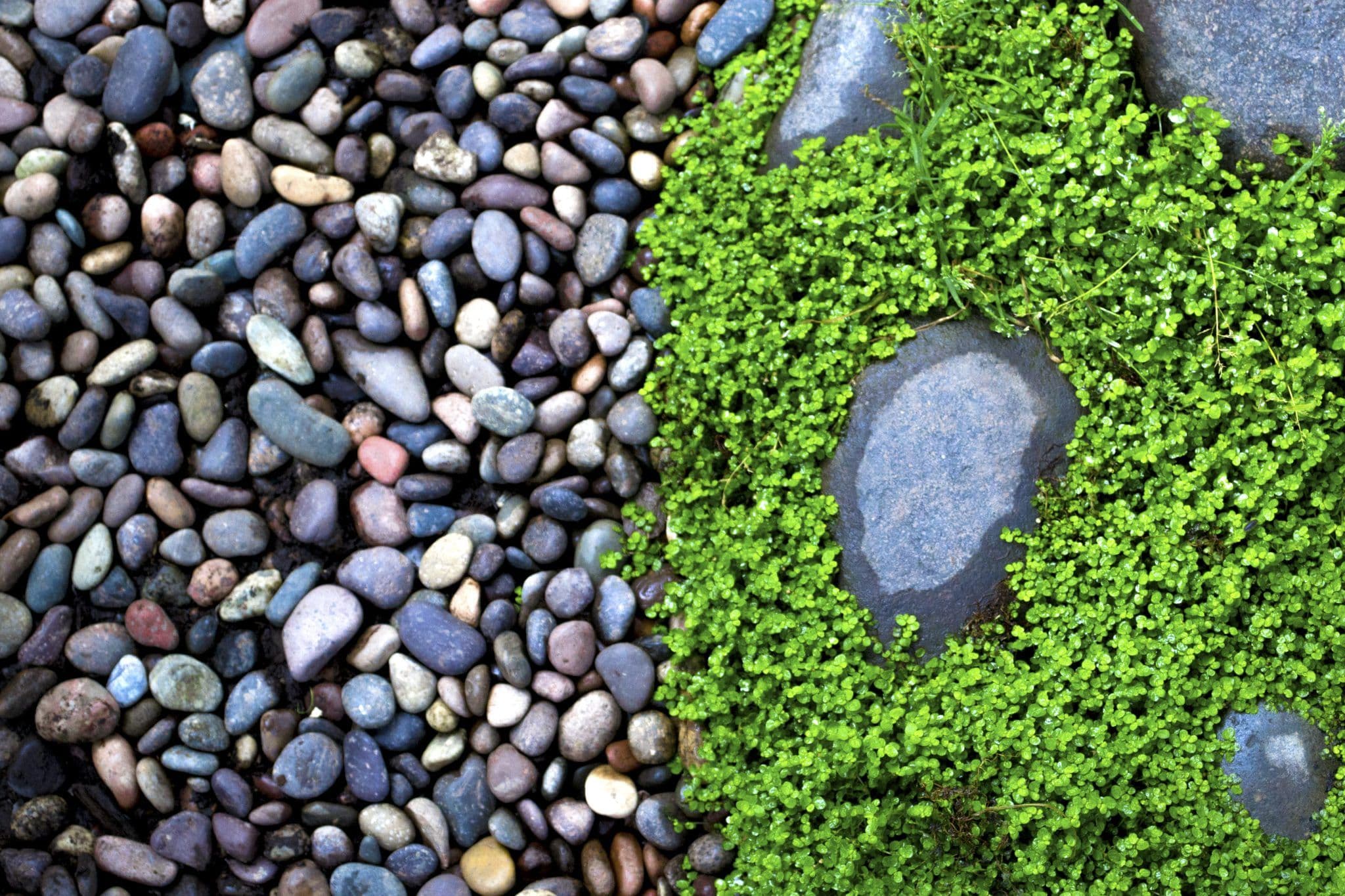 Ландшафтен дизайн