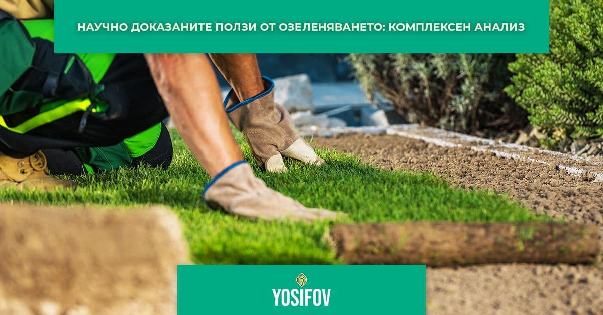 Ползи от озеленяване на дворове и градини