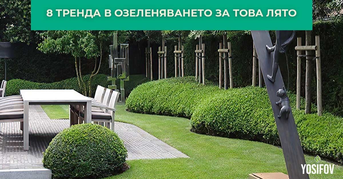 8 тренда в озеленяването за лято 2025