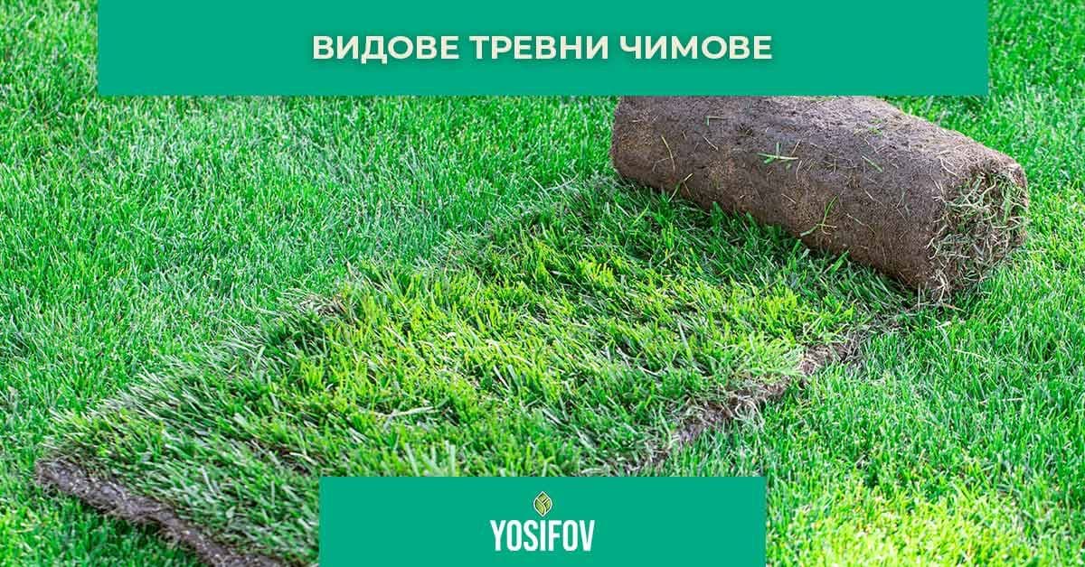 Видове тревни чимове изпозлвани при озеленяване