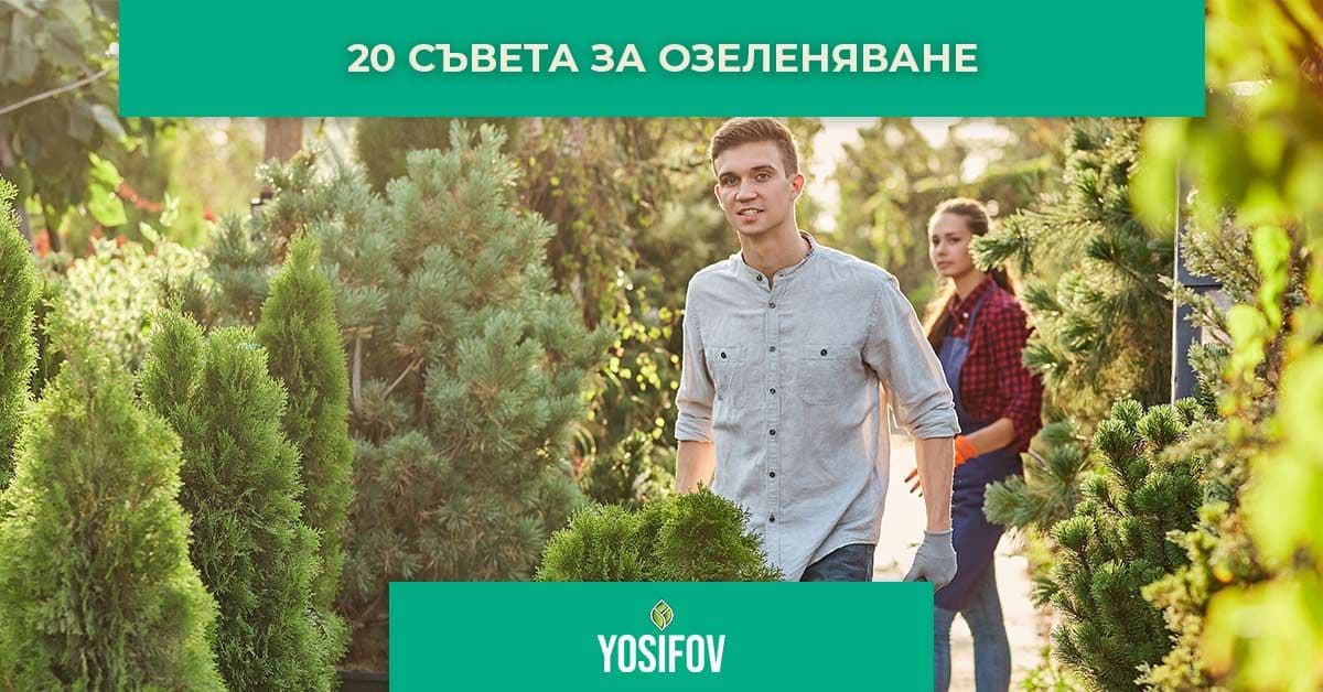 Съвети при озеленяване, когато го правим сами
