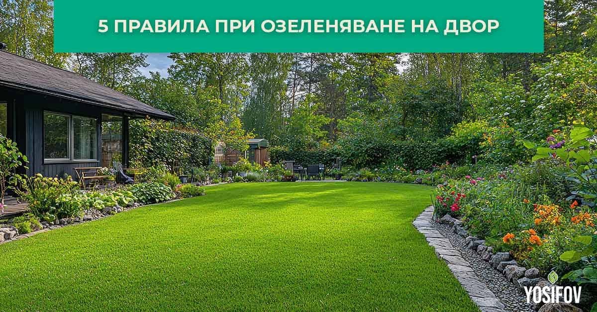 Правила, които да спазваме при озелеяване на двор