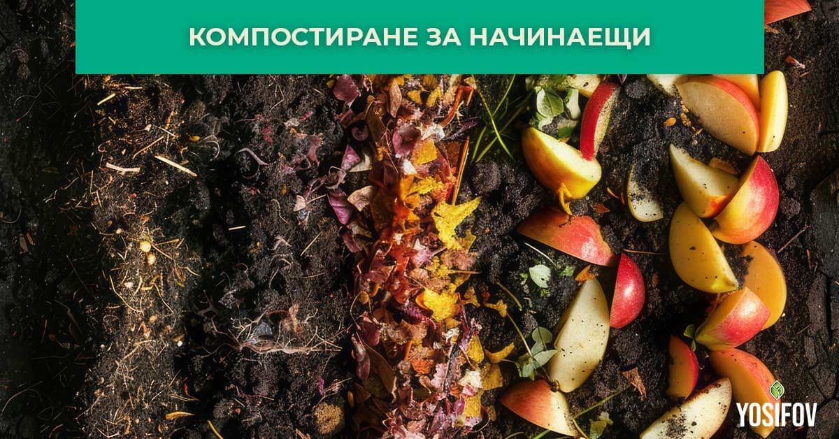 Компостиране за начинаещи: Гайд