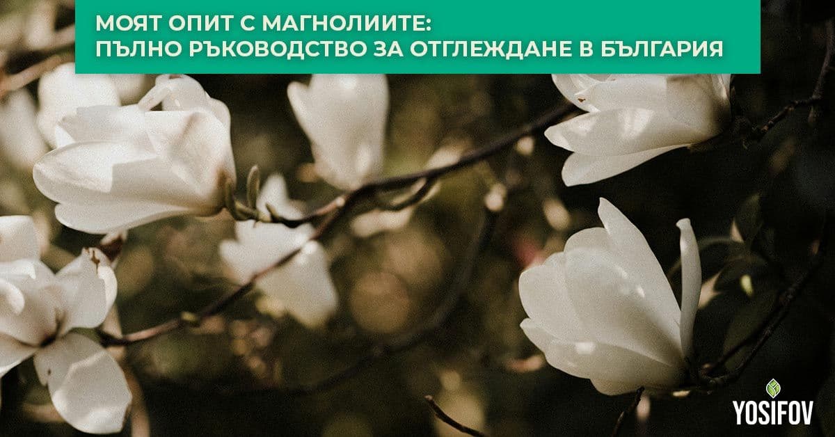 Пълно ръководство за отглеждане в България