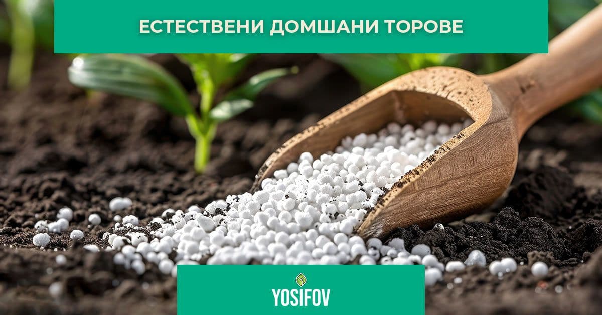 Как да приготвим домашна тор за декоративни растения