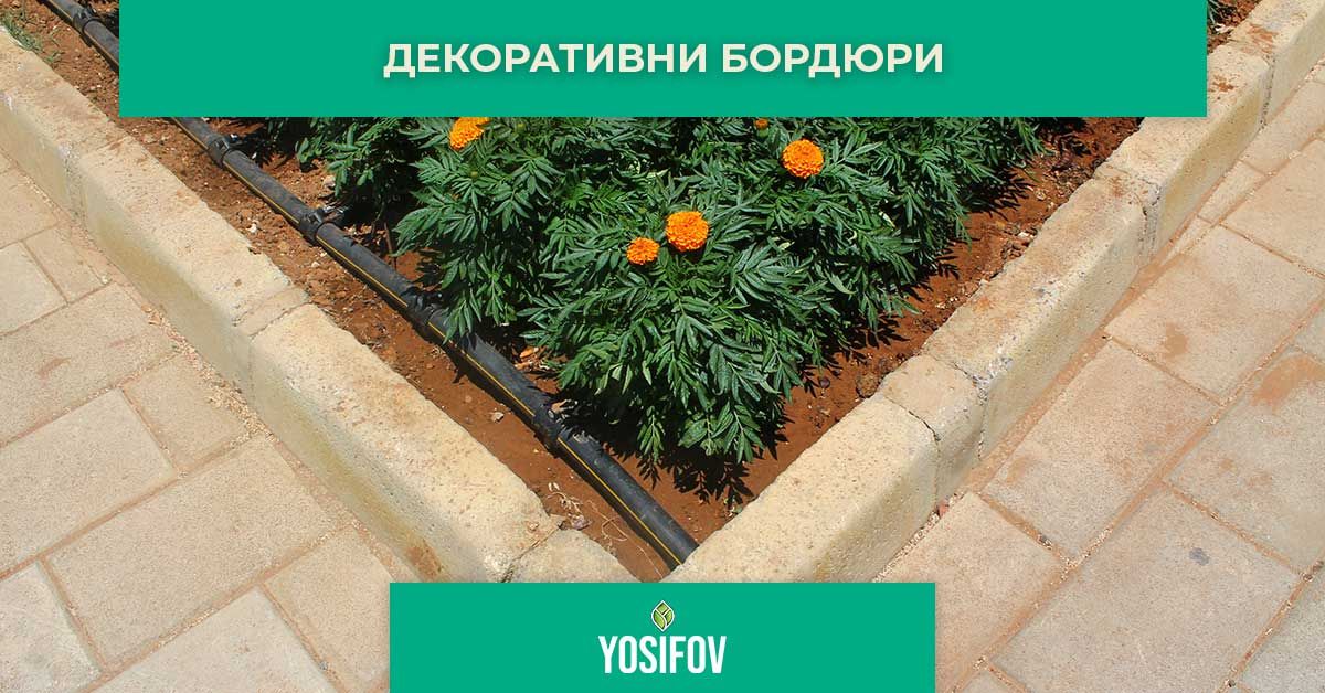 Декоративни бордюри при озеленяване