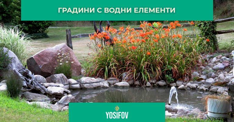 Градина с езеро: Стил в озеленяване