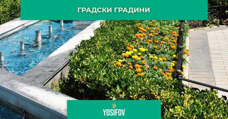 Градски градини: Стил озеленяване