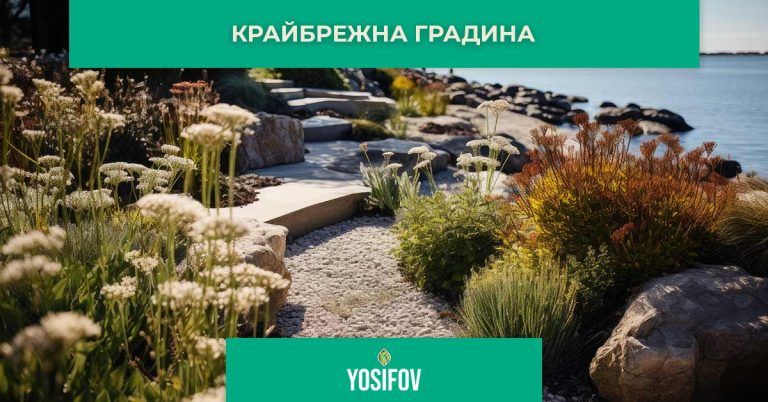 Крайбрежен стил на озеленяване