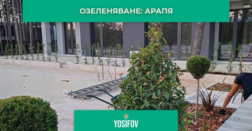 Цялостно озеленяване на бизнес сграда и жилищни къщи в Арапя (Eden Rock)