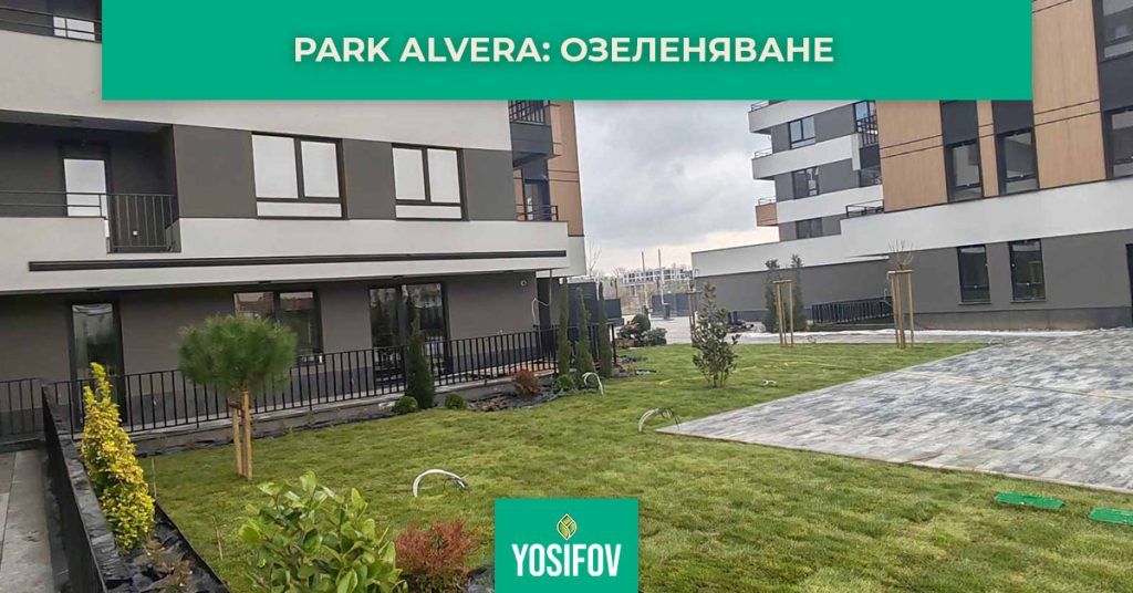  Парк Алвера: Озеленяване на жилищен комплекс в гр. Пловдив