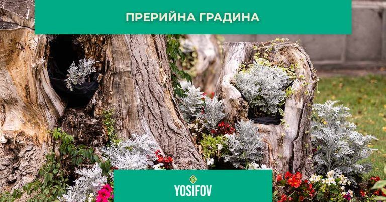 Рустик стил на озеленяване