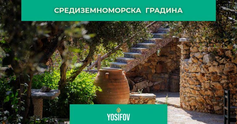 Средиземноморски стил озеленяване