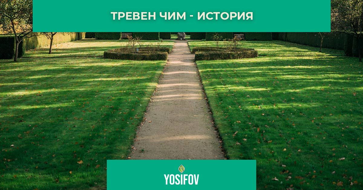 Тревен чим в древността