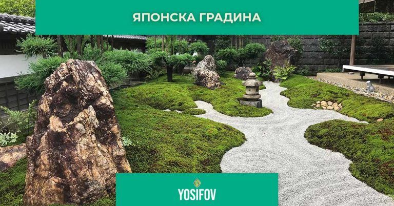 Японска градина: Стил озеленяване